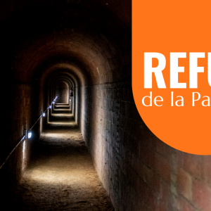 Visita guiada al Refugi Antiaeri de la Patacada